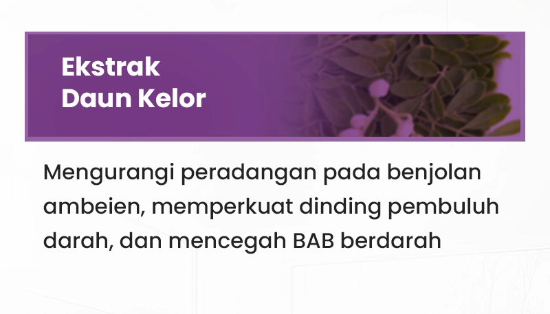 S-2.webp