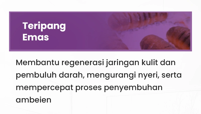 S-6.webp
