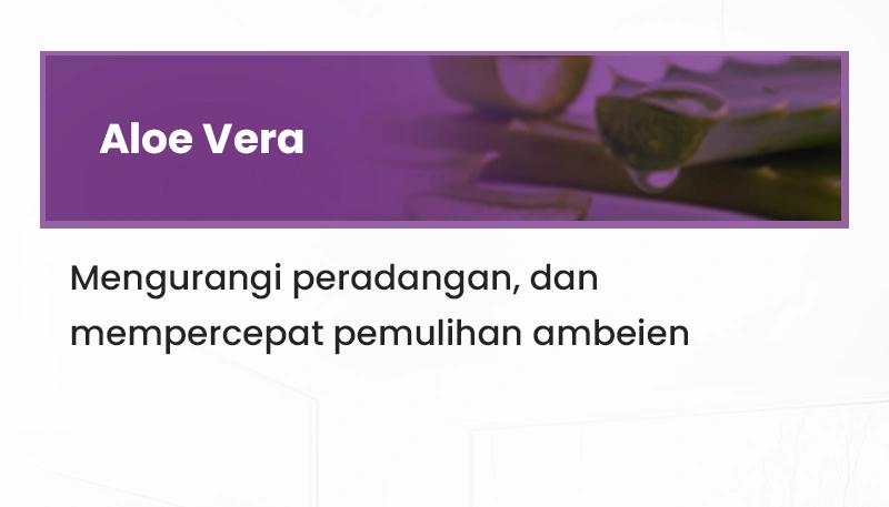 Sa-1.webp