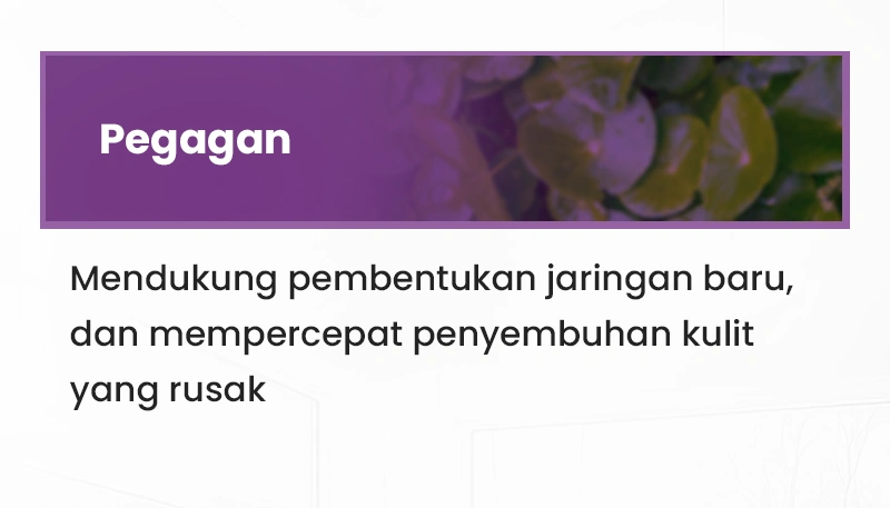Sa-2.webp
