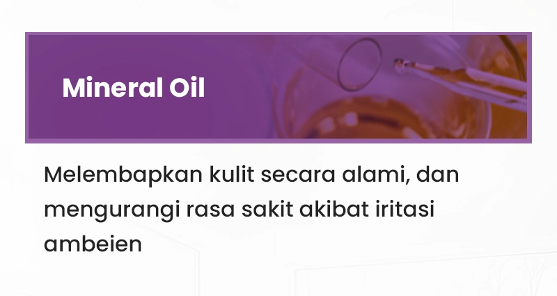 Sal-2.webp