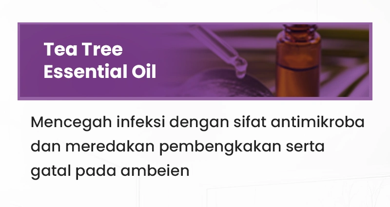 Sal-3.webp