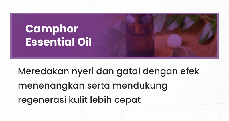 Sal-4.webp