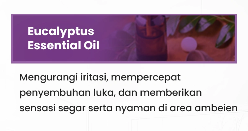 Sal-5.webp